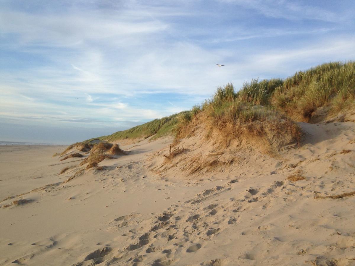 Beachhouses Texel De Koog  Exterior foto